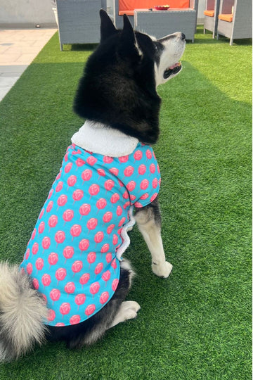 Dog Jacket- Lolipop